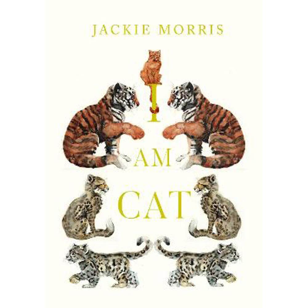 I am Cat (Hardback) - Jackie Morris